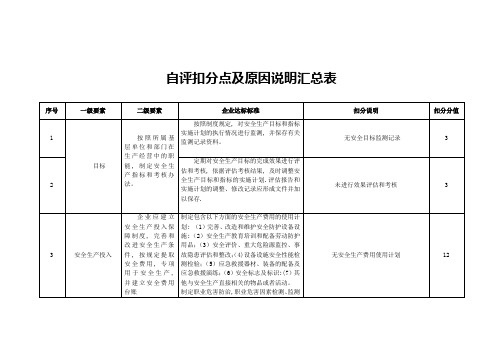 自评扣分点及原因说明汇总表