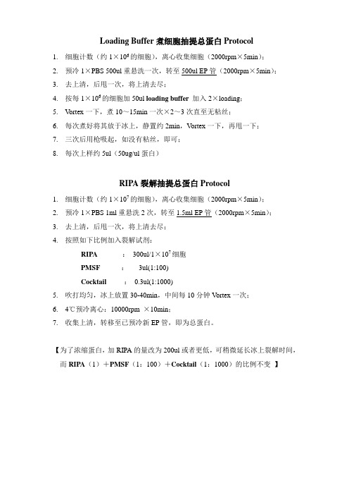 蛋白抽提Protocol(全)lyz解析