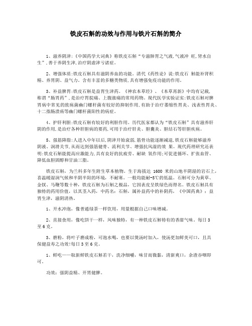 铁皮石斛的功效与作用与铁片石斛的简介