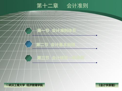 会计学原理ppt课件第十章 会计准则 共31页