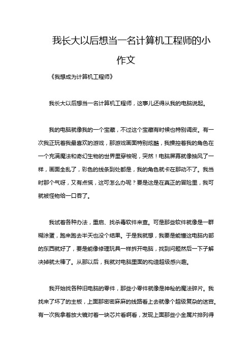 我长大以后想当一名计算机工程师的小作文