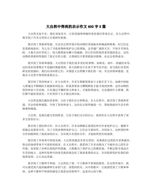 大自然中得到的启示作文600字5篇