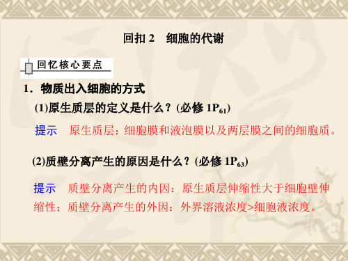 (安徽专用)高考生物二轮复习 考前三个月 专题二 回扣2 细胞的代谢课件