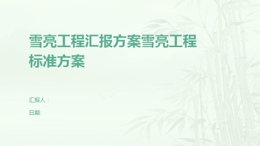 雪亮工程汇报方案雪亮工程标准方案