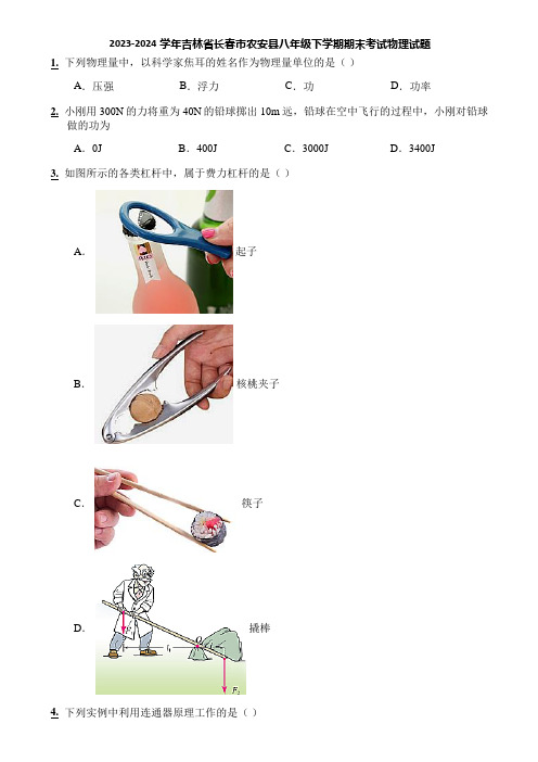 2023-2024学年吉林省长春市农安县八年级下学期期末考试物理试题