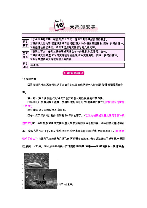 苏教版四年级下册语文教案16天鹅的故事