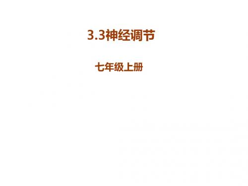 浙教版八年级科学上册教学课件:3.3神经调节第3课时