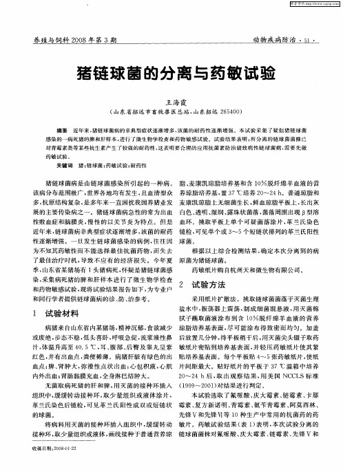 猪链球菌的分离与药敏试验