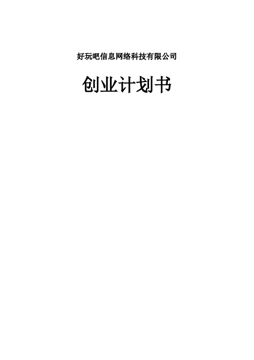 某某信息网络科技有限公司创业计划书