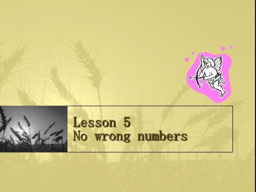 新概念Lesson 5 No wrong numbers