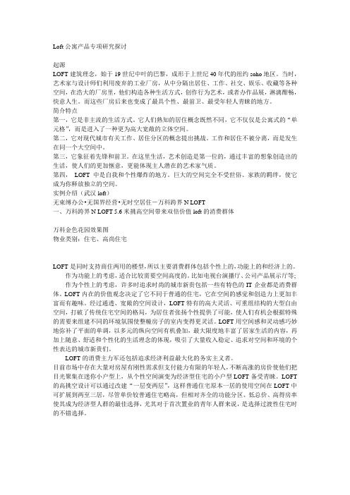 Loft公寓产品专项研究探讨