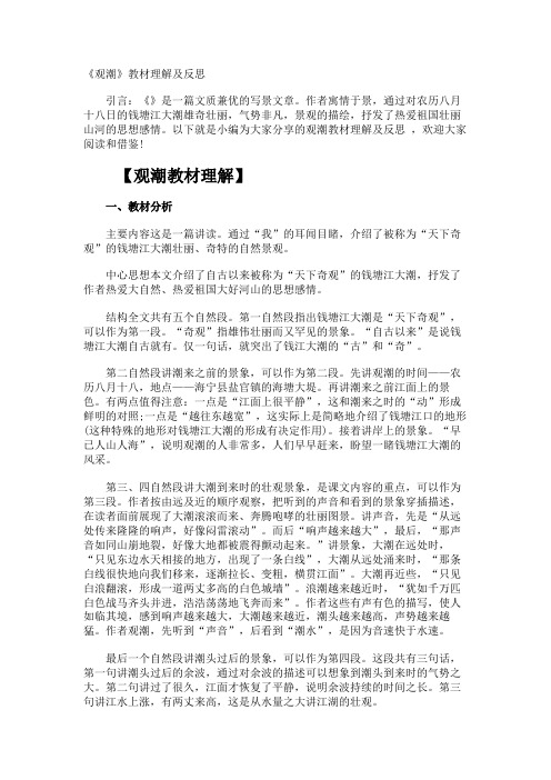 《观潮》教材理解及反思.docx