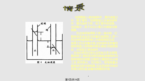 毛细现象PPT课件