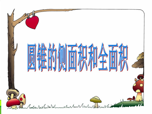 苏教九年级数学上册《圆锥的侧面积和全面积》课件(共25张PPT)
