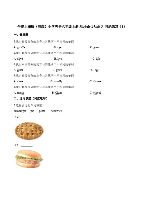 六年级上册英语一课一练-Module1 Unit3(1)∣牛津上海版(三起)(含解析)