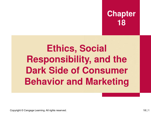 ConsumerBehaviorChapter_182010