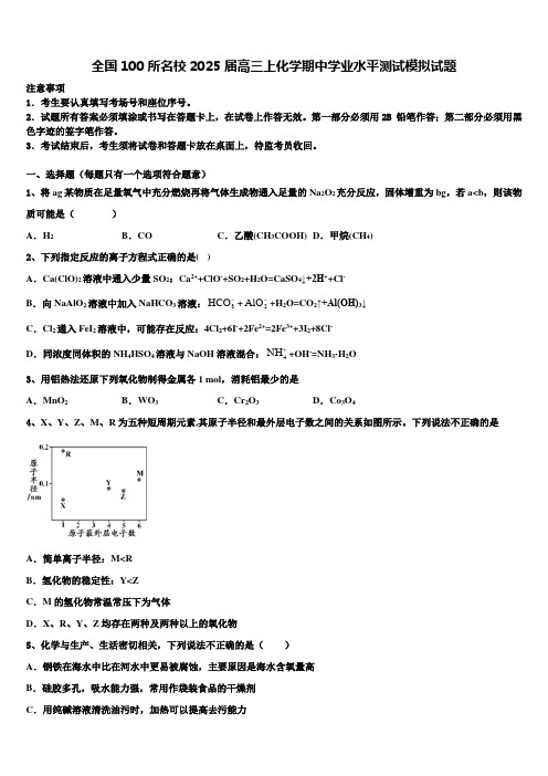 全国100所名校2025届高三上化学期中学业水平测试模拟试题含解析