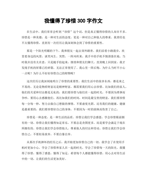 我懂得了珍惜300字作文