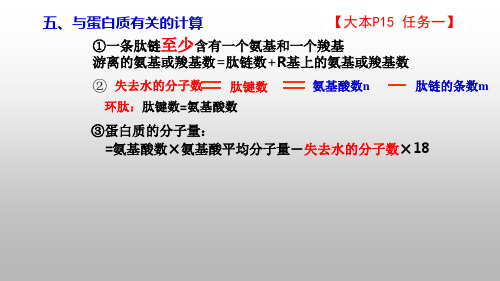 1.4 糖类和脂质、核酸2022(公开课示范课优质课精品、经典)