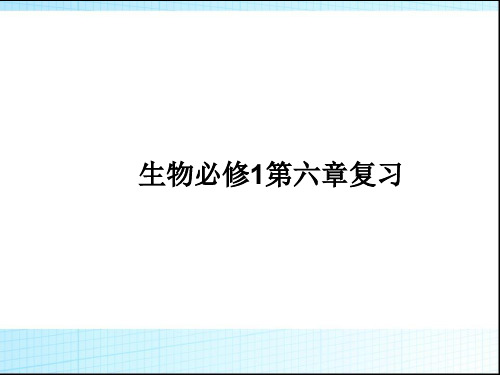 高中生物必修一第六章复习课件