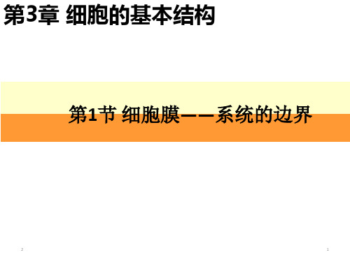 人教版生物必修一3.1细胞膜——系统的边界(共27张ppt)