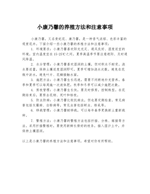 小康乃馨的养殖方法和注意事项