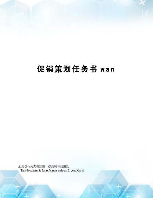 促销策划任务书wan