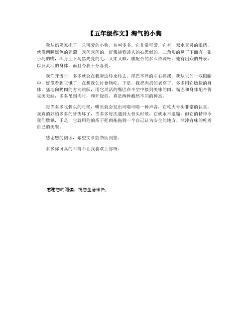 【五年级作文】淘气的小狗