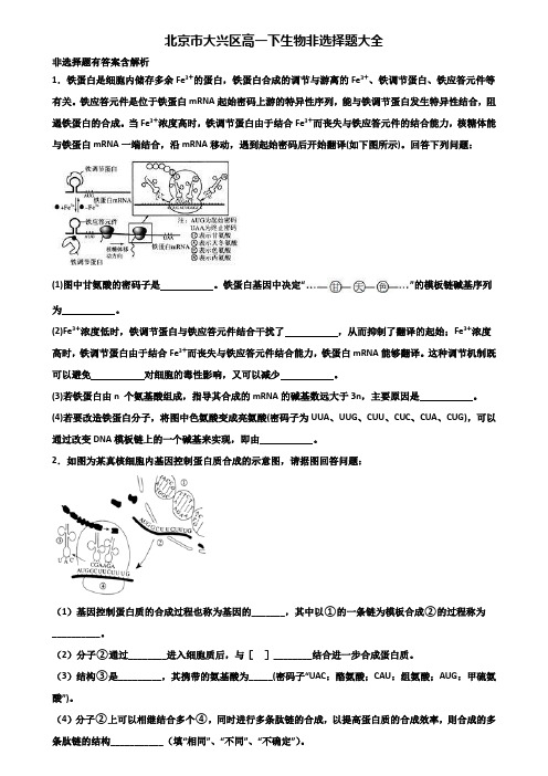 北京市大兴区高一下生物非选择题大全含解析