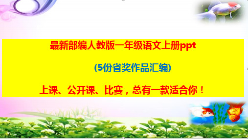 部编版一年级语文上册-和大人一起读：谁和谁好ppt课件【5份省奖作品汇编】