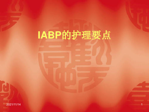 IABP的护理要点