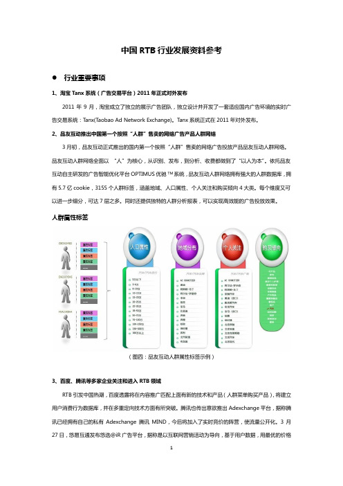 中国RTB行业资料