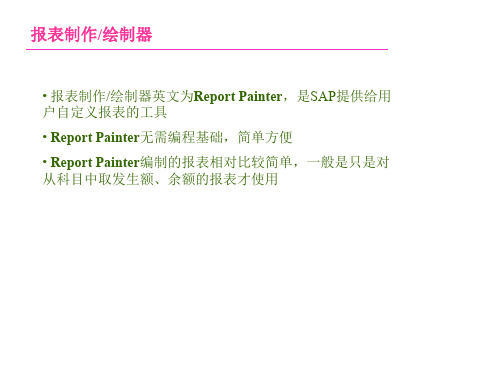 SAP_Report_Painter报表制作权威教程