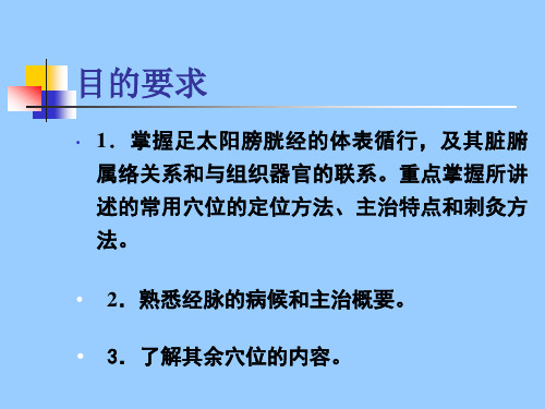 ppt足太阳膀胱经1课件