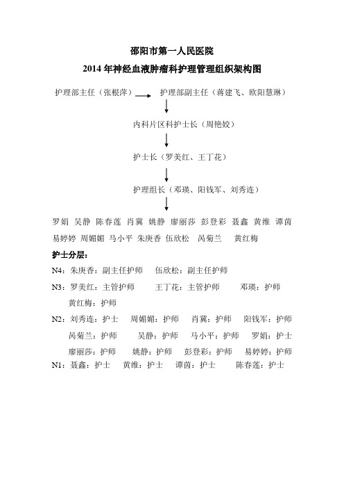 2.2 科室护理管理组织架构图doc[模板].doc2014年(1) (1)