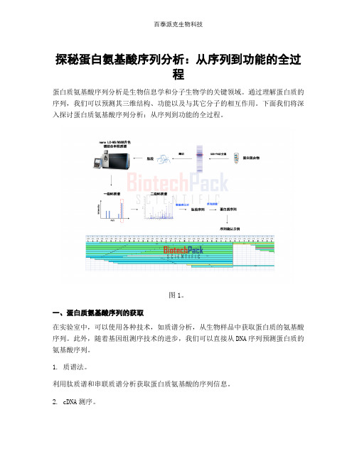 探秘蛋白氨基酸序列分析：从序列到功能的全过程