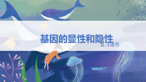 人教版八年级生物下册 《基因的显性和隐性》精品复习课件