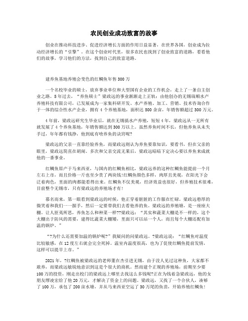 农民创业成功致富的故事