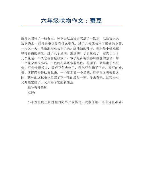 六年级状物作文:蚕豆