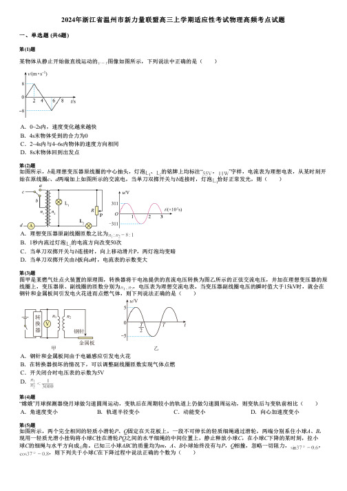 2024年浙江省温州市新力量联盟高三上学期适应性考试物理高频考点试题