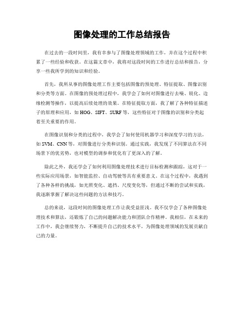 图像处理的工作总结报告