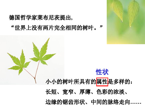 第五节_生物的变异 2PPT课件