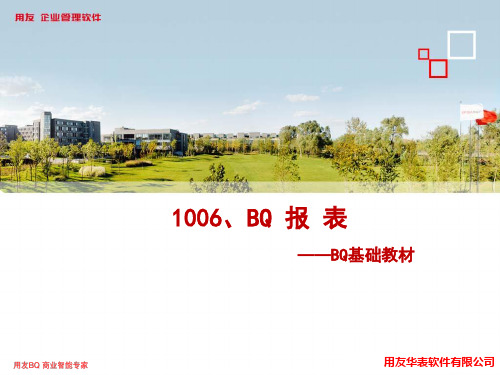 1006、BQ报表