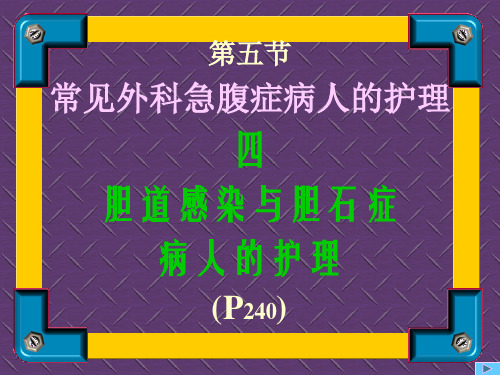 胆道感染与胆石症病人的护理 PPT课件