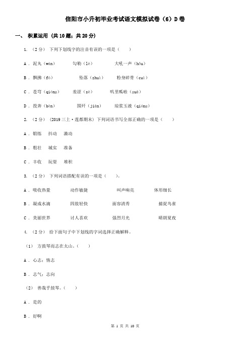 信阳市小升初毕业考试语文模拟试卷(6)D卷