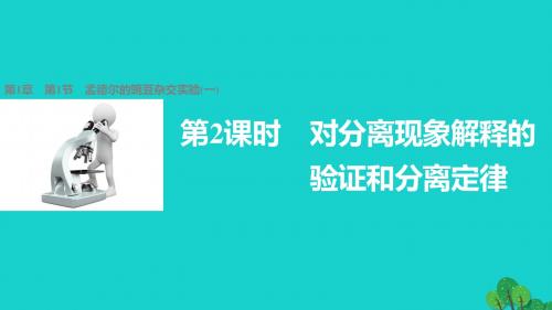 高中生物1.1.2对分离现象解释的验证和分离定律课件新人教版必修2