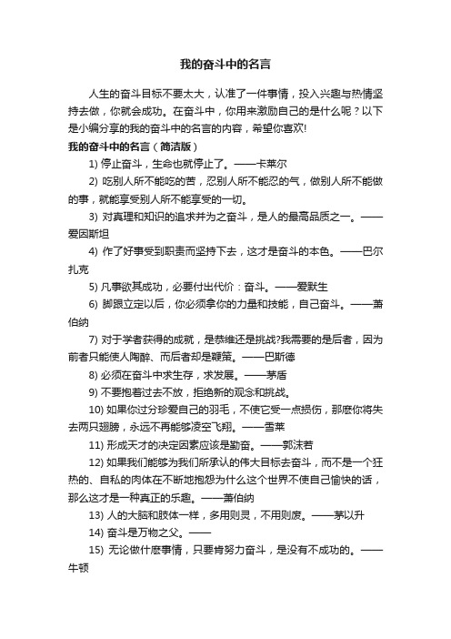 我的奋斗中的名言