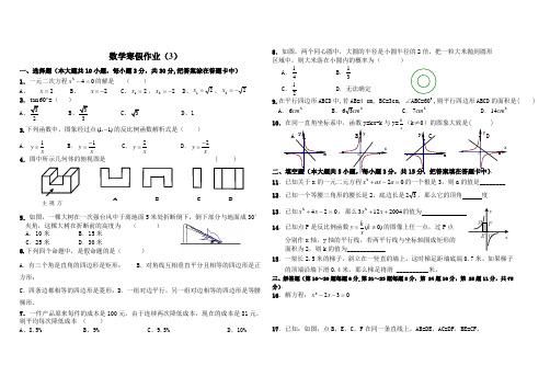 初三九年级数学寒假作业