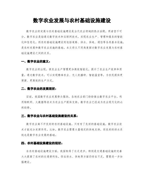 数字农业发展与农村基础设施建设