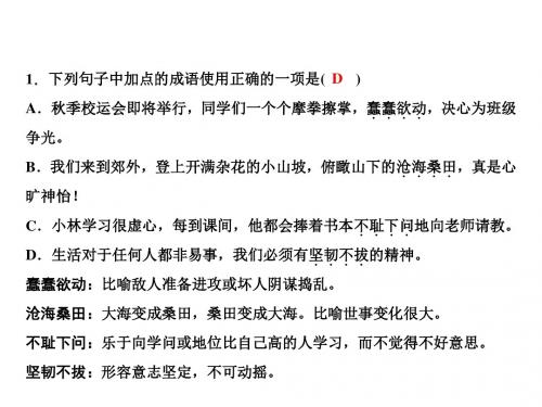 2019春人教部编版七年级语文下册复习课件：期末专题复习 成语运用(共14张PPT)